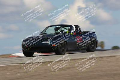 media/Mar-31-2024-Speed Ventures (Sun) [[a3b2bf813d]]/Purple/Session 2 (Grapevine)/